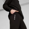 Зображення Puma Штани BMW M Motorsport ESS+ Pants Men #2: Puma Black