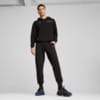 Зображення Puma Штани BMW M Motorsport ESS+ Pants Men #3: Puma Black