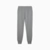 Изображение Puma Брюки BMW M Motorsport ESS+ Pants Men #7: Medium Gray Heather