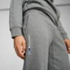 Изображение Puma Брюки BMW M Motorsport ESS+ Pants Men #2: Medium Gray Heather