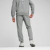 Изображение Puma Брюки BMW M Motorsport ESS+ Pants Men #4: Medium Gray Heather
