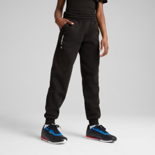 Изображение Puma Детские брюки BMW M Motorsport ESS+ Pants Youth