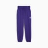Изображение Puma Брюки спортивные Pivot Basketball Sweat Pants Women #1: Lapis Lazuli