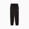 Изображение Puma Брюки спортивные Pivot Basketball Sweat Pants Women #1: Puma Black