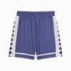 Изображение Puma Шорты The All Jaws Basketball Shorts Men #2: Blue Crystal