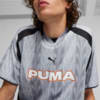 Изображение Puma Футболка FOOTBALL JERSEY #4: Silver Mist