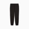 Зображення Puma Штани SPORTS LEGACY Graphic Sweatpants Men #7: Puma Black