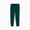 Изображение Puma Брюки SPORTS LEGACY Graphic Sweatpants Men #7: Dark Myrtle