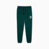 Изображение Puma Брюки SPORTS LEGACY Graphic Sweatpants Men #6: Dark Myrtle