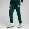 Изображение Puma Брюки SPORTS LEGACY Graphic Sweatpants Men #1: Dark Myrtle