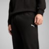 Изображение Puma Брюки WARDROBE ESS Relaxed Sweatpants Men #5: Puma Black