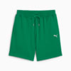 Изображение Puma Шорты WARDROBE ESS Relaxed Shorts 7