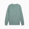 Изображение Puma Свитшот PREMIUM ESS Relaxed Graphic Crew Unisex #7: Green Moon