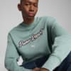Изображение Puma Свитшот PREMIUM ESS Relaxed Graphic Crew Unisex #5: Green Moon