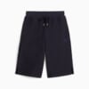 Зображення Puma Шорти PREMIUM ESS Jacquard Long Line Relaxed Shorts 11