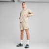 Зображення Puma Кофта Essentials Full-Zip Hoodie Men #3: Desert Dust