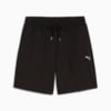 Изображение Puma Шорты WARDROBE ESS Relaxed Long Line 8