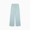 Изображение Puma Брюки PREMIUM ESS Relaxed Sweatpants Women #7: Modern Mint