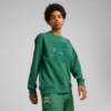 Imagen PUMA Polerón PUMA HOOPS x TORTUGAS NINJA juvenil #1