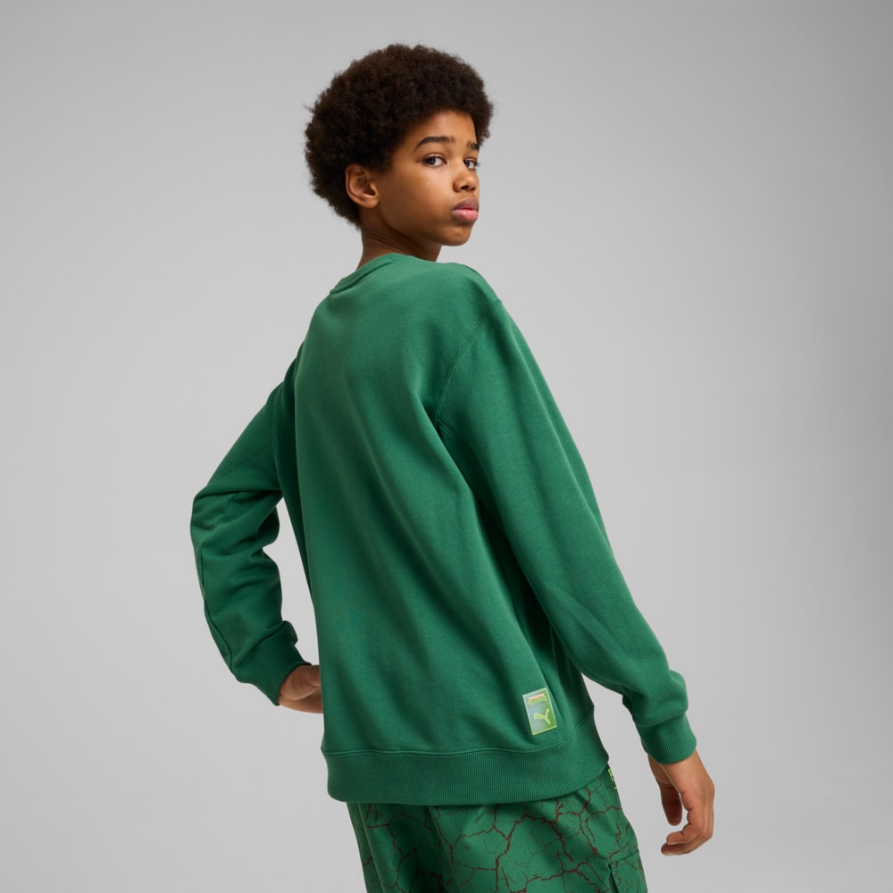 Imagen PUMA Polerón PUMA HOOPS x TORTUGAS NINJA juvenil #2