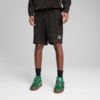 Изображение Puma Шорты PUMA x TEENAGE MUTANT NINJA TURTLES Relaxed Shorts 7