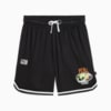Изображение Puma Шорты Hoop Dreamz Short Unisex #6: Puma Black