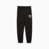 Зображення Puma Дитячі штани BASKETBALL Posterize Basketball Sweatpants Youth #4: Puma Black