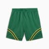 Imagen PUMA Shorts PUMA HOOPS x TORTUGAS NINJA para hombre #7