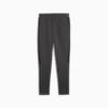 Изображение Puma Штаны Evostripe Core Pants Men #2: Dark Gray Heather