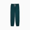 Изображение Puma Штаны MMQ Sweatpants Men #4: Green Terrain