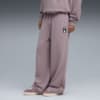 Изображение Puma Штаны PUMA x RIPNDIP Sweatpants Men #1: Plum Jam