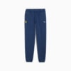 Зображення Puma Штани Scuderia Ferrari Sportswear Sweatpants Men #4: Persian Blue