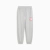 Зображення Puma Штани HooperHotline Sweatpants Men #6: light gray heather