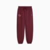 Зображення Puma Штани BMW M Motorsport Essentials Sweatpants Women #1: Ruby Shimmer