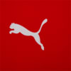 Зображення Puma Футболка FINAL Men's Training Jersey #3: Puma Red-Puma Black