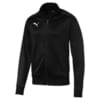 Изображение Puma Олимпийка Football Men's LIGA Casuals Track Jacket #1: Puma Black-Puma White