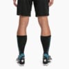 Зображення Puma Шкарпетки ftblNXT Team Men's Football Socks #2: Puma Black-Luminous Blue