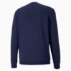Image Puma GOAL Casuals Men's Sweater #5