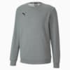 Зображення Puma Толстовка GOAL Casuals Men’ Sweater #4: Medium Gray Heather