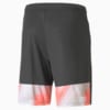 Зображення Puma Шорти individualCUP Men's Football Shorts #5: Asphalt-Red Blast