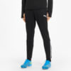 Изображение Puma Штаны teamLIGA Training Men’‎s Football Pants #1: Puma Black-Puma White