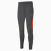 Зображення Puma Штани teamLIGA Pro Training Men's Football Pants #4: Asphalt-Red Blast