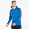 Image Puma teamFINAL Training Quarter-Zip Men's Football Top #1