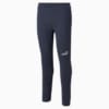 Image Puma teamFINAL Casuals Men's Football Pants #5