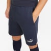 Image Puma teamFINAL Casuals Men's Football Shorts #4