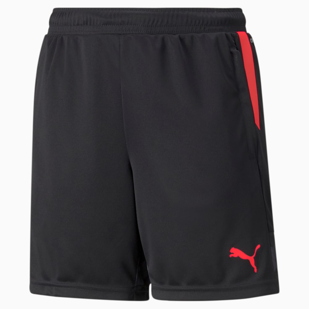 фото Детские шорты individualcup youth football shorts puma