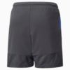 Изображение Puma Детские шорты individualCUP Youth Football Shorts #2: Asphalt-Bluemazing