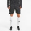 Зображення Puma Шорти FUßBALL Park Men's Football Shorts #1: Puma Black-Ebony