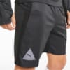 Зображення Puma Шорти FUßBALL Park Men's Football Shorts #4: Puma Black-Ebony