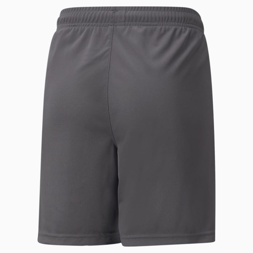 фото Детские шорты teamliga training youth football shorts 2 puma